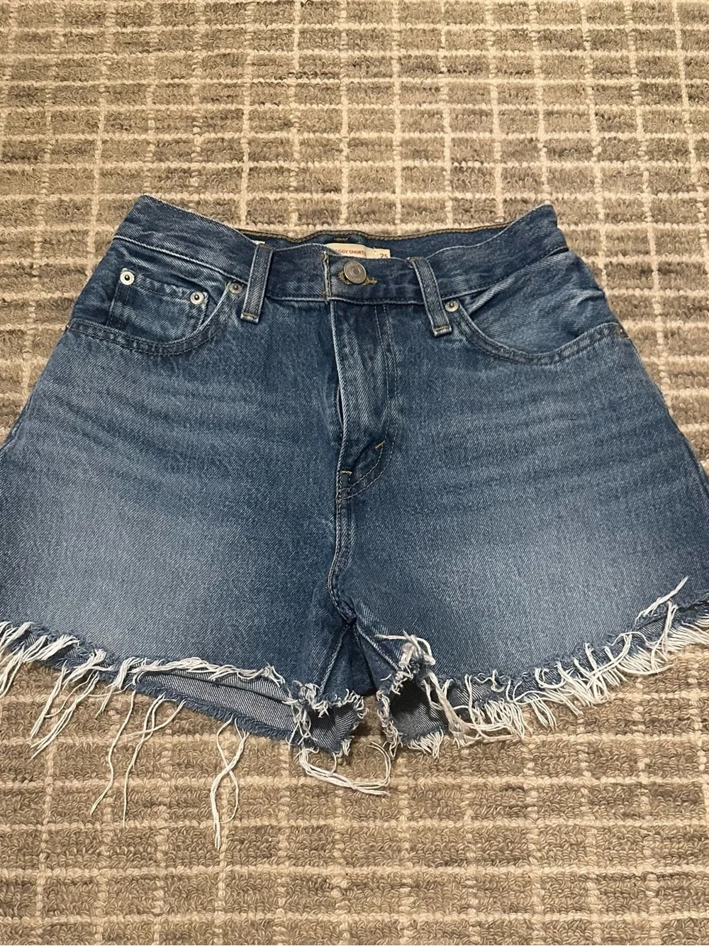 Levi's High Baggy Shorts